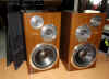 JVC SX-911 speakers.JPG (74545 bytes)