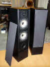 Rogers GS6 speakers.JPG (65467 bytes)