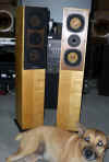 Tangsong speakers.JPG (58831 bytes)