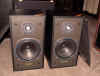 Tannoy R1 speakers.JPG (75264 bytes)